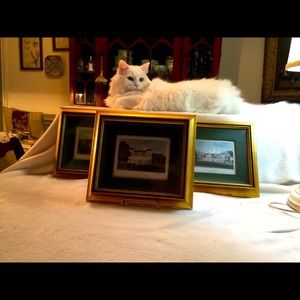 Three Vintage Framed Antique Postcards